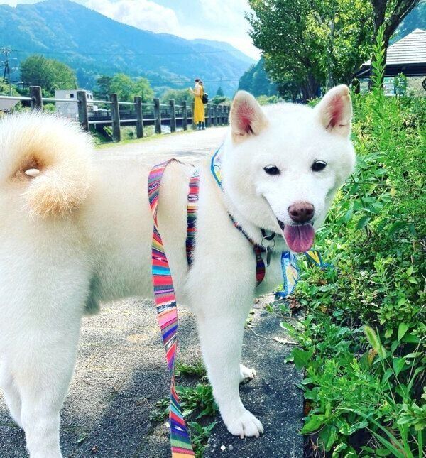 楽しそうな福来くん