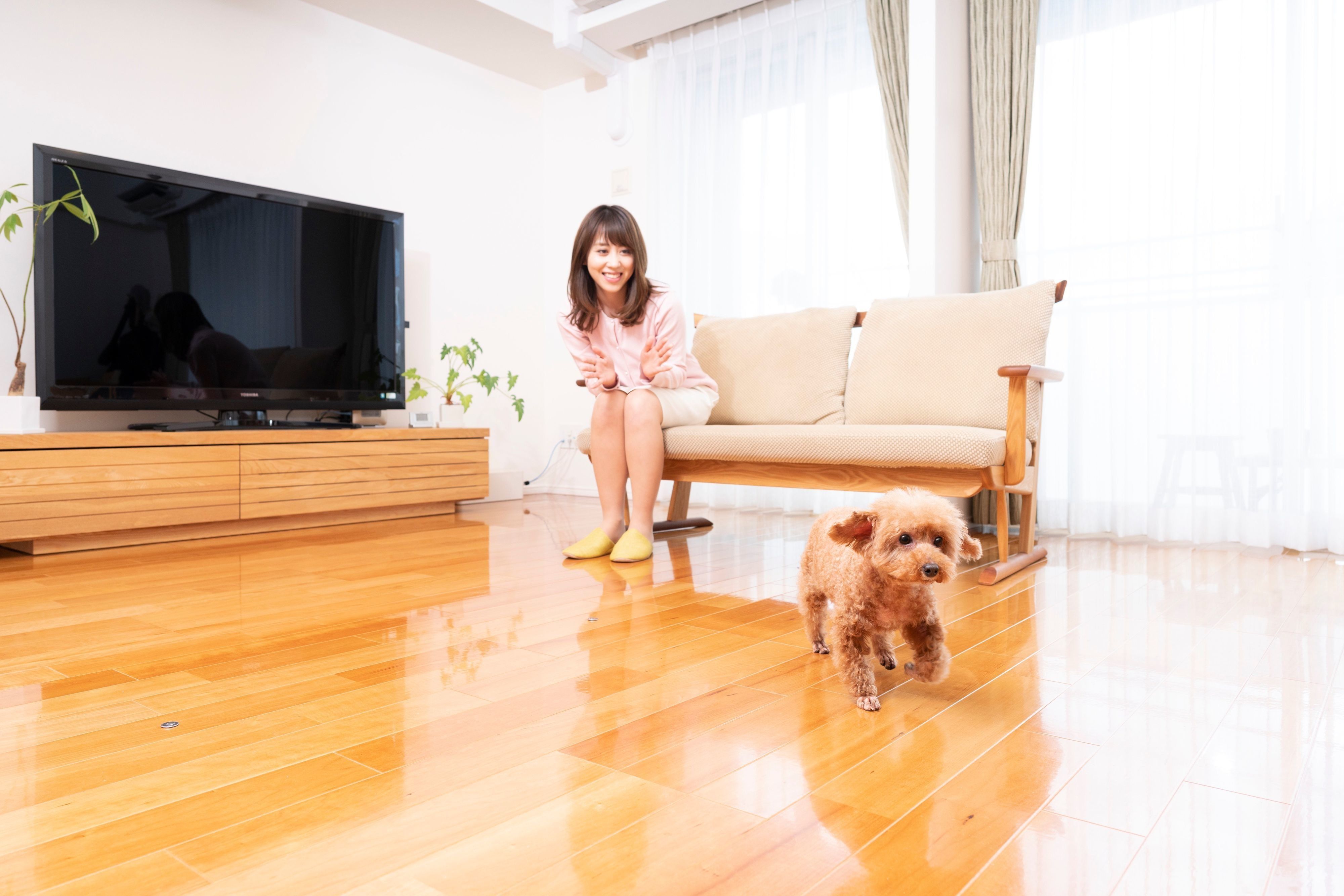 「走り回っても、モコが滑っていなくて安心！　床に驚くほどの美しいツヤがでてうれしい♪」