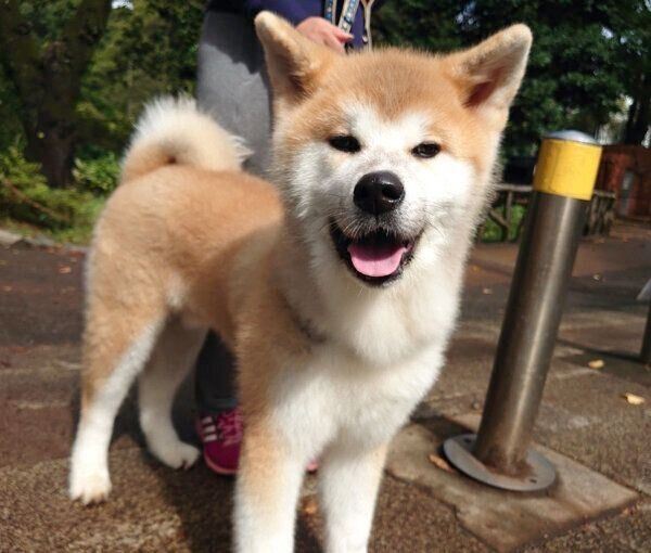 笑顔のケンくん