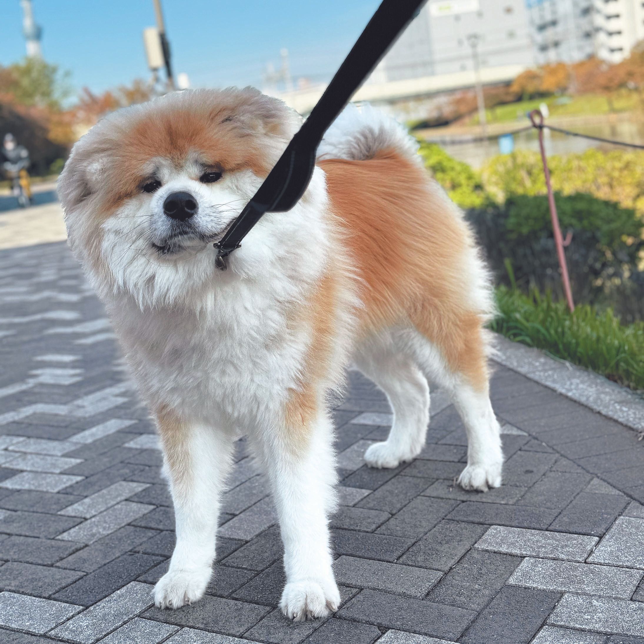 写真提供／K.Y.さん