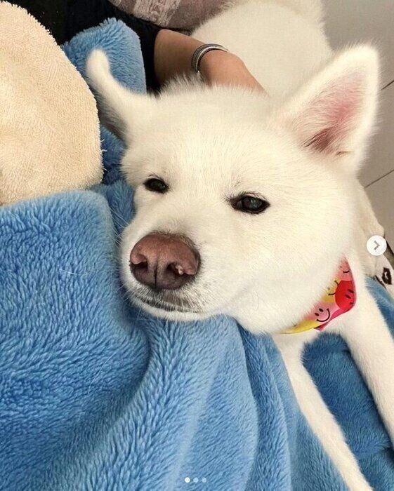 添い寝するユキちゃん