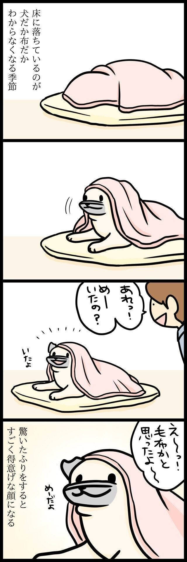 【連載】パグ犬・めー