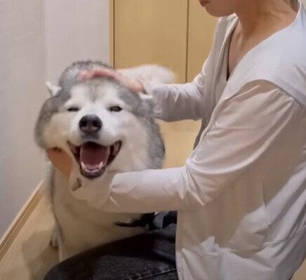 ニコニコの文太くん