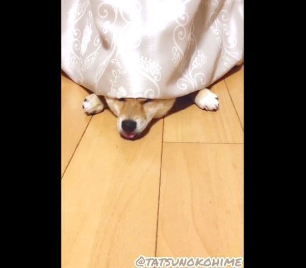 拗ねるタッちゃん