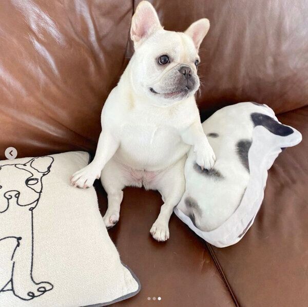 くつろぐひまわりちゃん