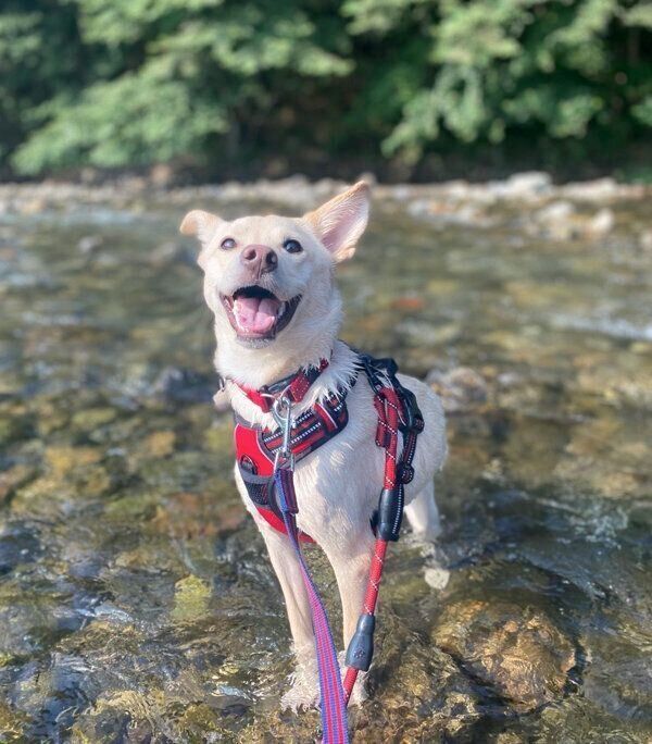 楽しそうなみらいくん