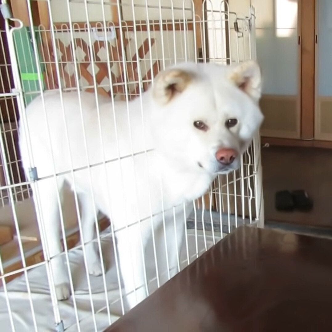 気になっているゆうき君