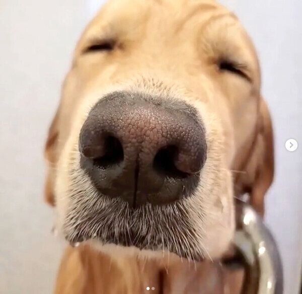 お風呂に入るアランくん