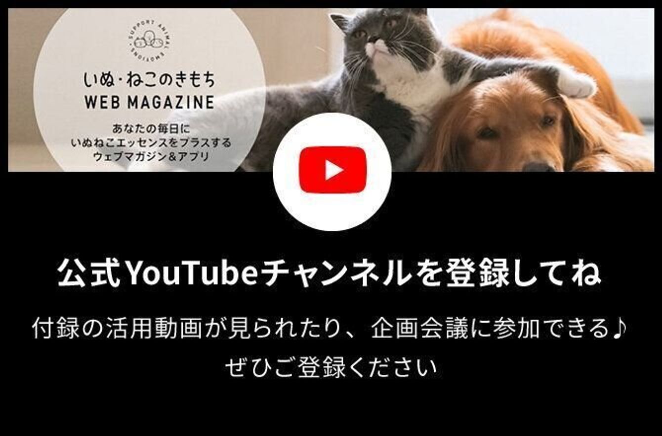 いぬのきもち 読者ページ いぬのきもちweb Magazine いぬのきもち 読者ページ いぬのきもちweb Magazine