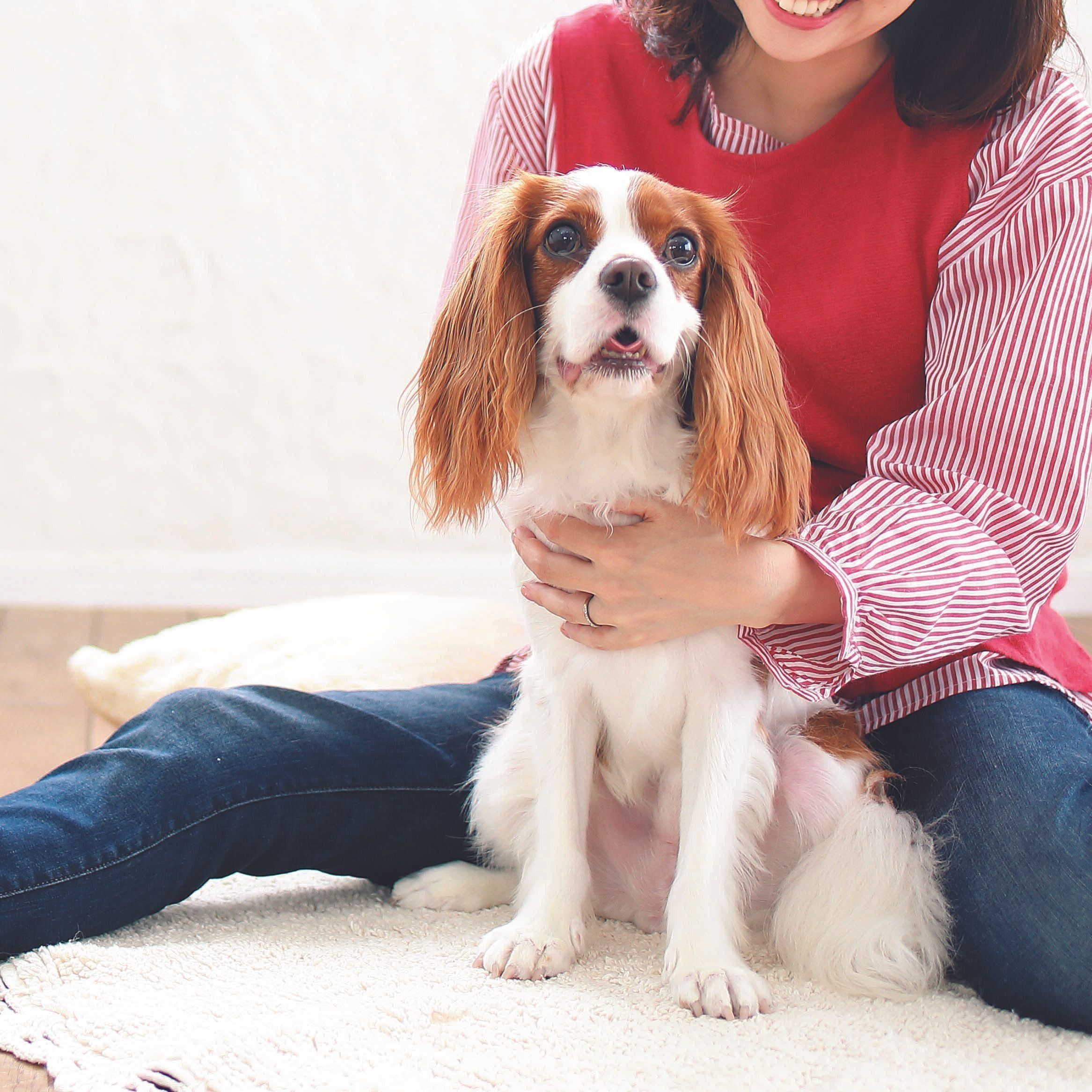 愛犬が望む10のこととは？