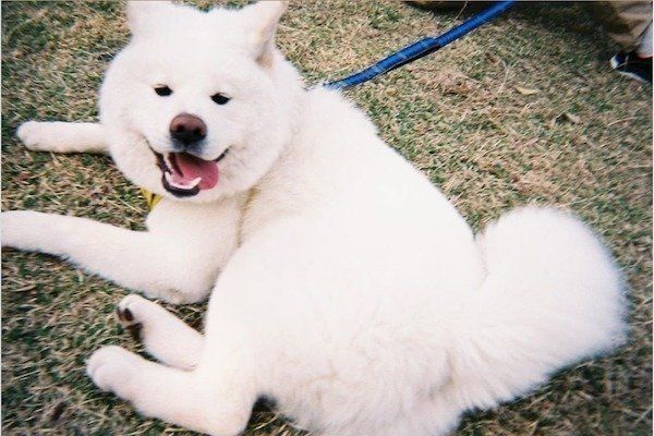 笑顔の任三郎くん