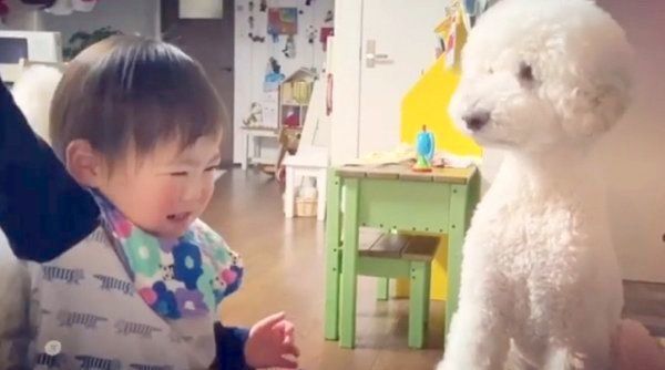 おもちゃの取り合いをするがっくんとむぎくん