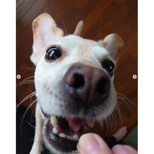 おやつを食べるはなこちゃん