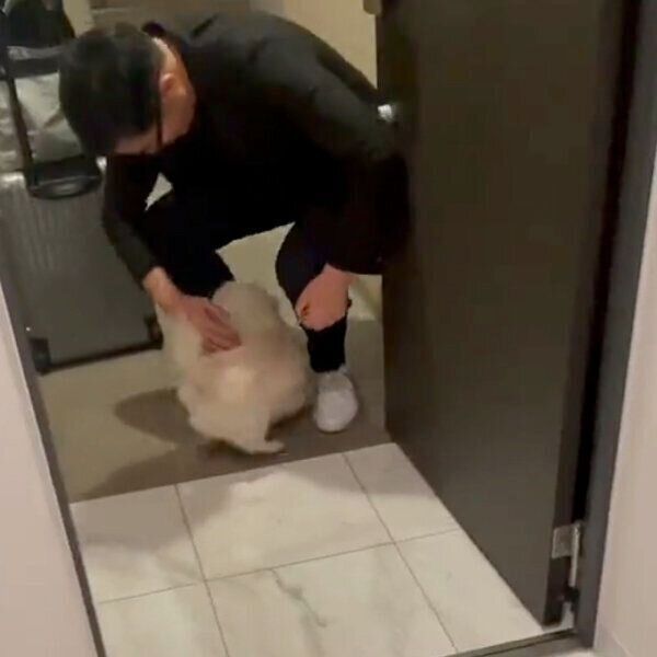 喜ぶモッチちゃん