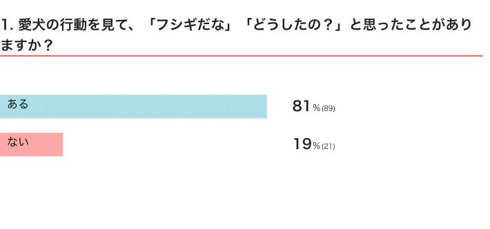 いぬのきもちWEB MAGAZINE『犬の行動に関するアンケートvol.20』