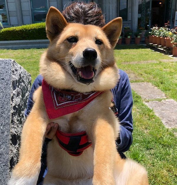 笑顔のルーさん