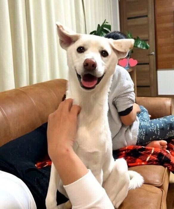 笑顔が可愛いこうめちゃん