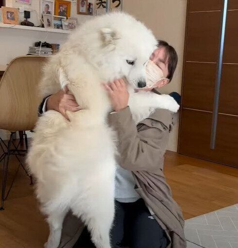 喜びのハグ!
