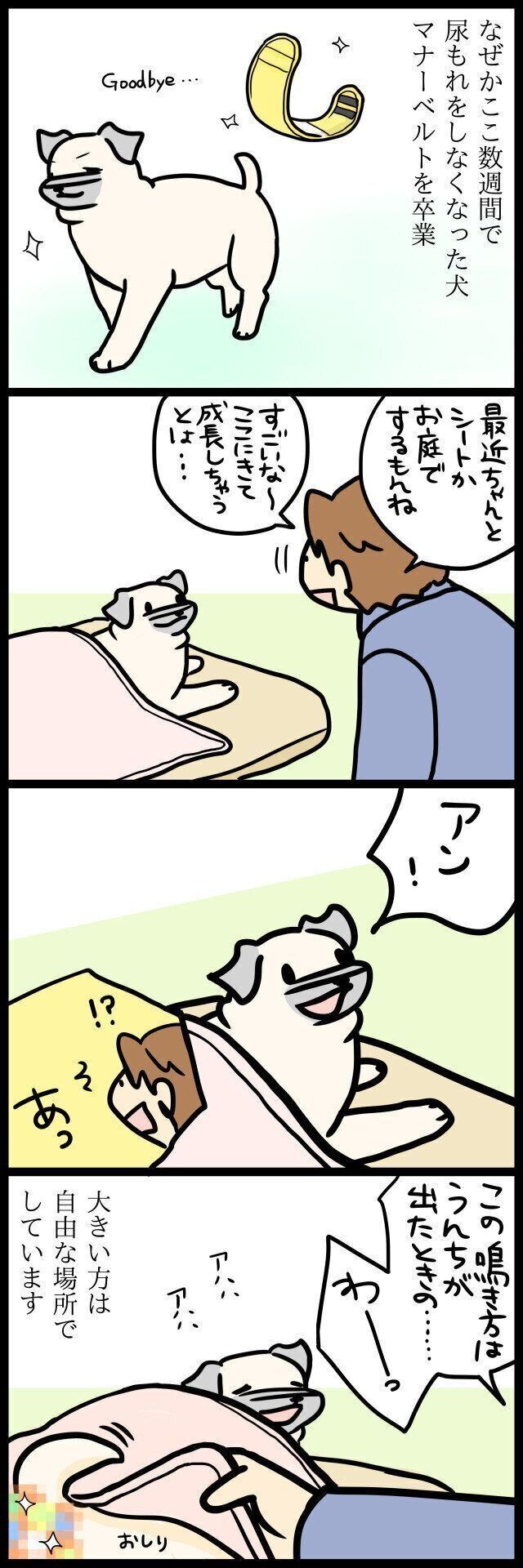 【連載】パグ犬・めー