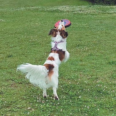 写真提供／Y.T.さん