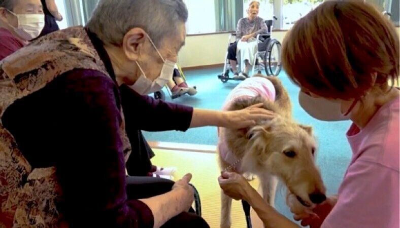 ふれあいの場面（アニマルセラピーの動画より）