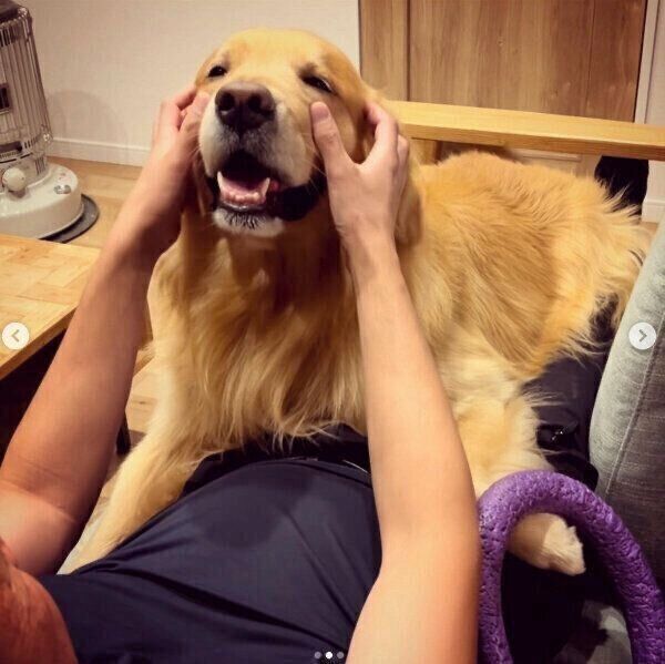 パパさんとまったりするモッシュくん