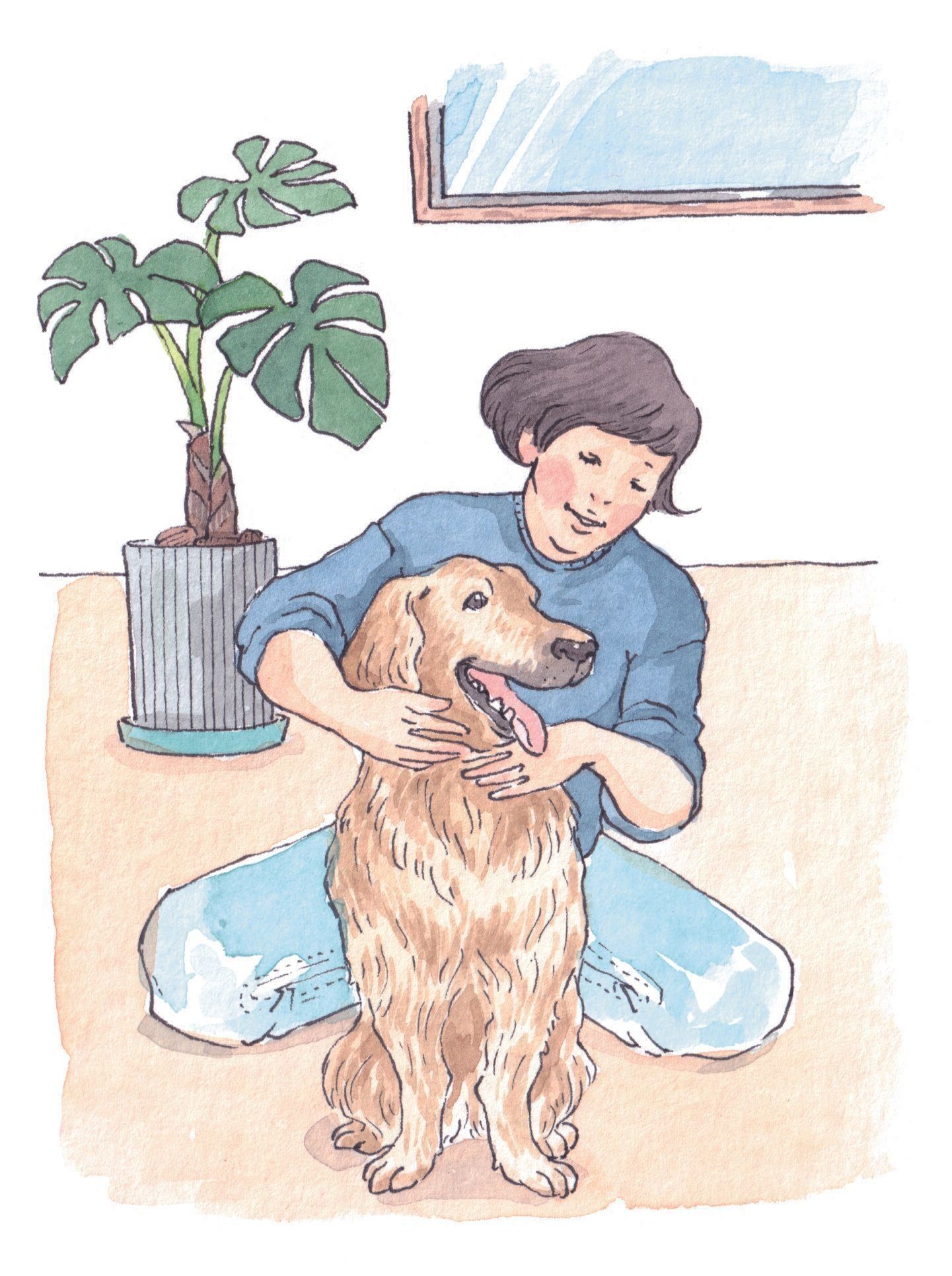 イラスト／フジマツミキ