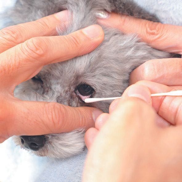 撮影／尾﨑たまき