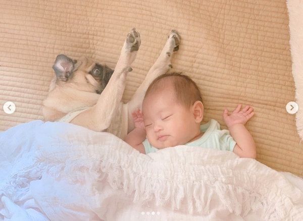 添い寝するパグと妹ちゃん