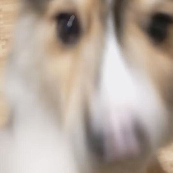 マテの特訓をするはなまるくん