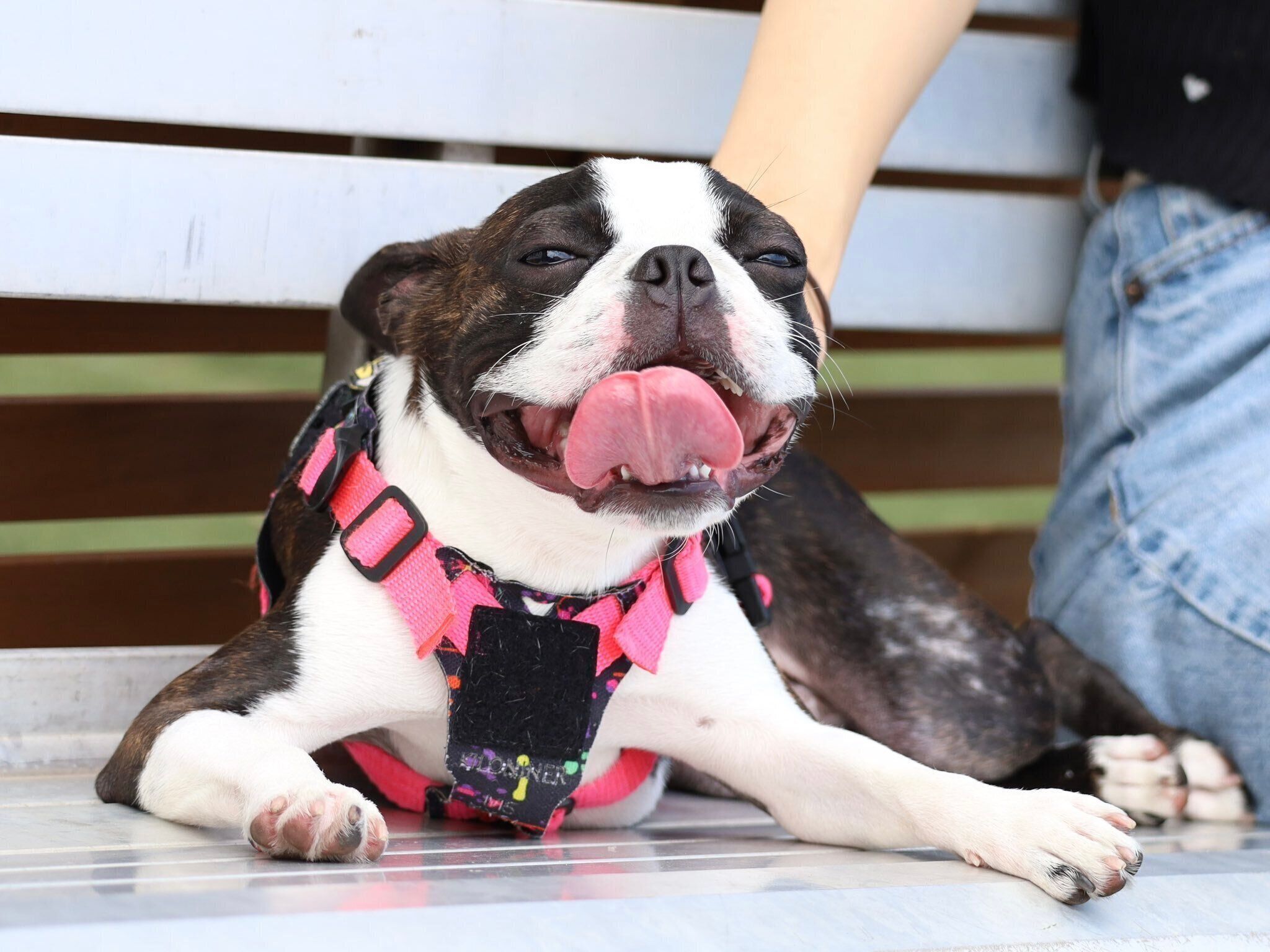 成長後の様子　とても楽しそうなチャビィくん