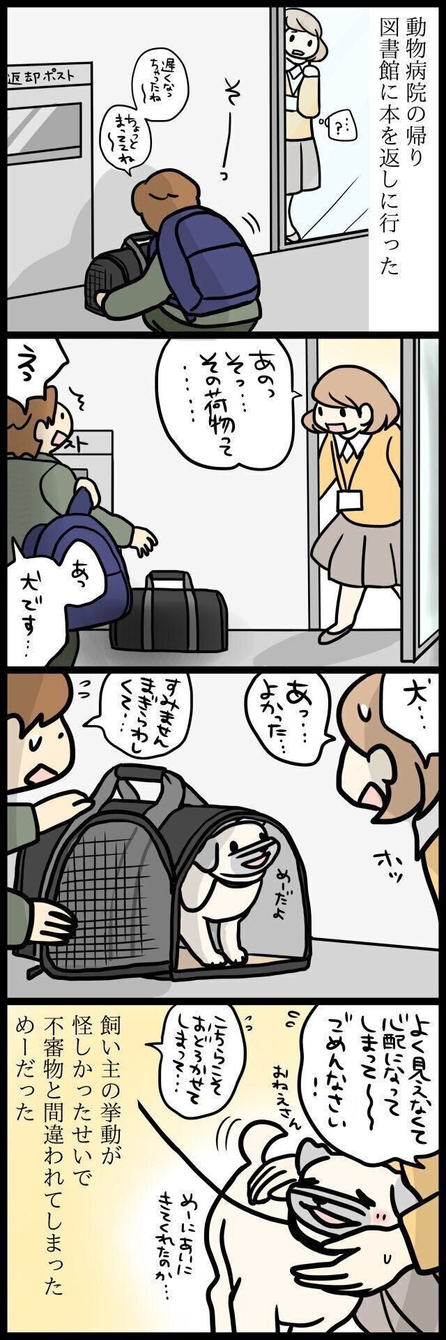 【連載】パグ犬・めー