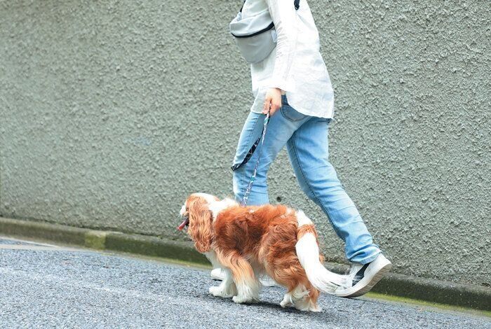 坂道を歩く咲花ちゃん