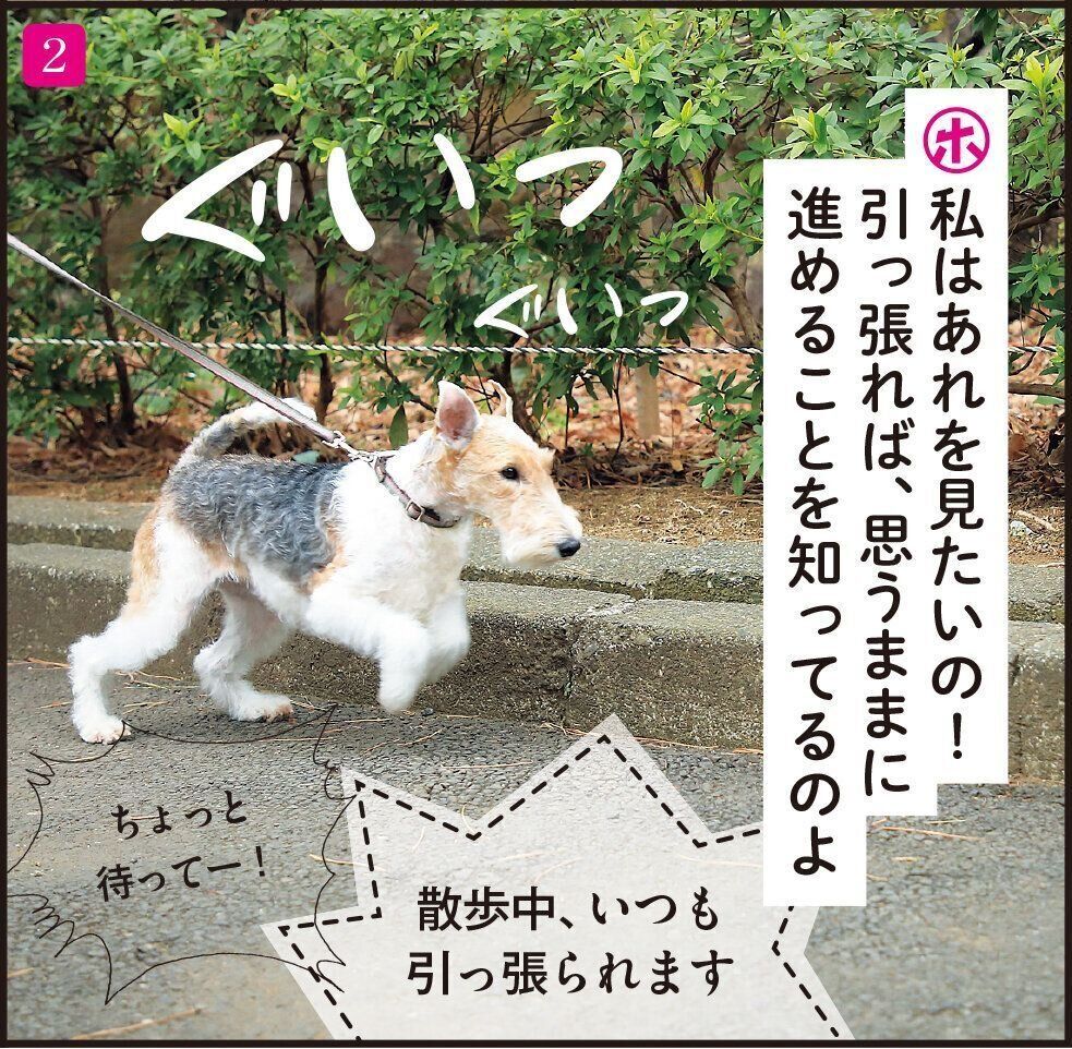 撮影／尾﨑たまき