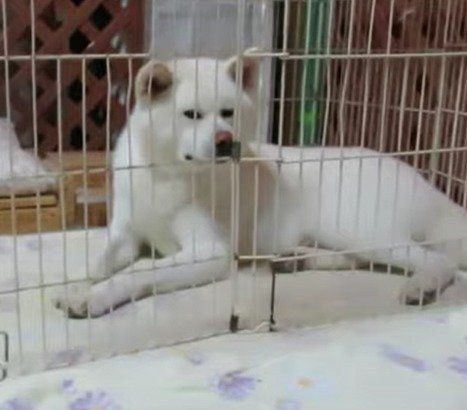 疑いの眼差しのゆうきくん