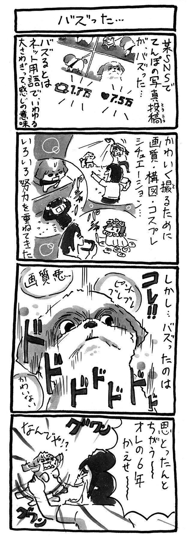 【連載】シーズー犬のてんぽ