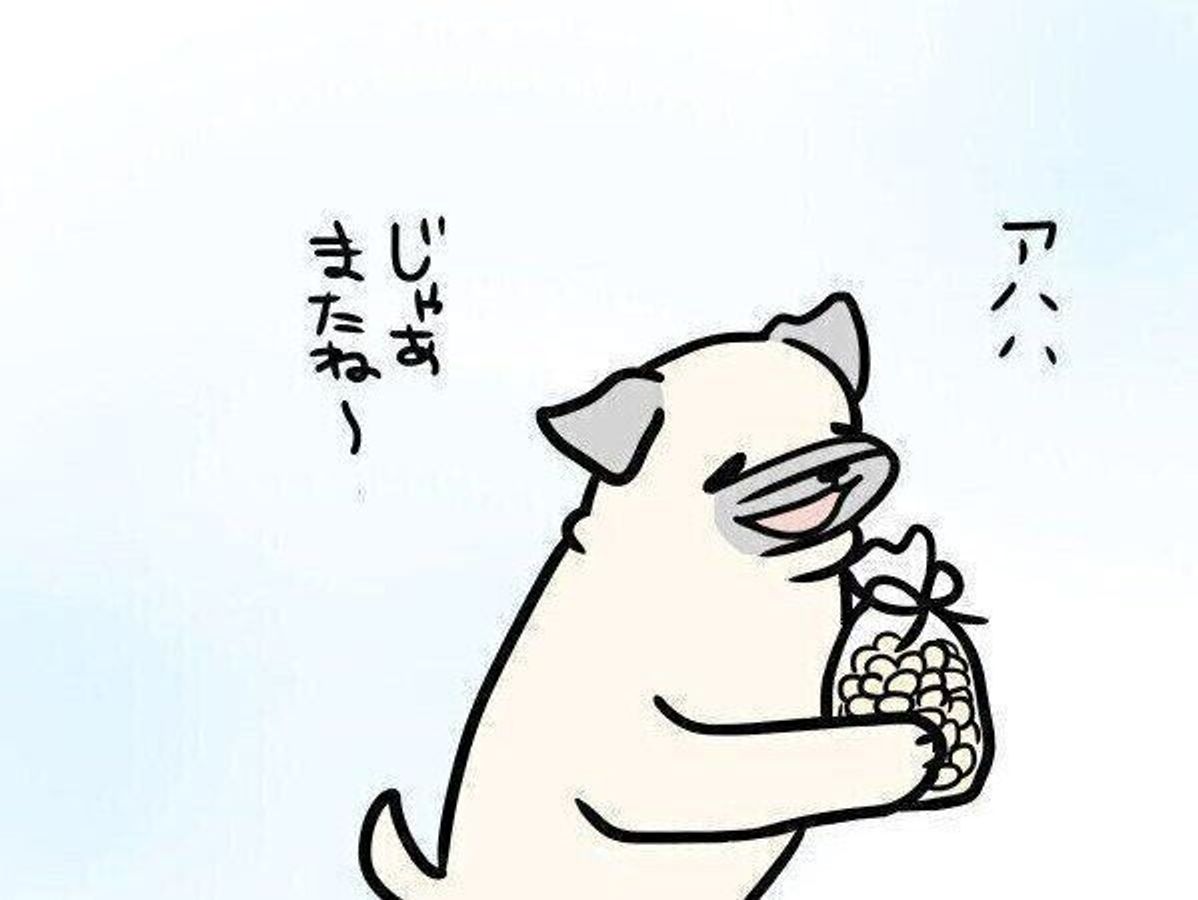 めーのニコニコの笑顔と共に たくさんの ありがとう を込めて 連載 パグ犬 めー 最終回 Vol 147 いぬのきもちweb Magazine めーのニコニコの笑顔と共に たくさんの ありがとう を込めて 連載 パグ犬 めー 最終回 Vol 147 いぬのきもちweb Magazine