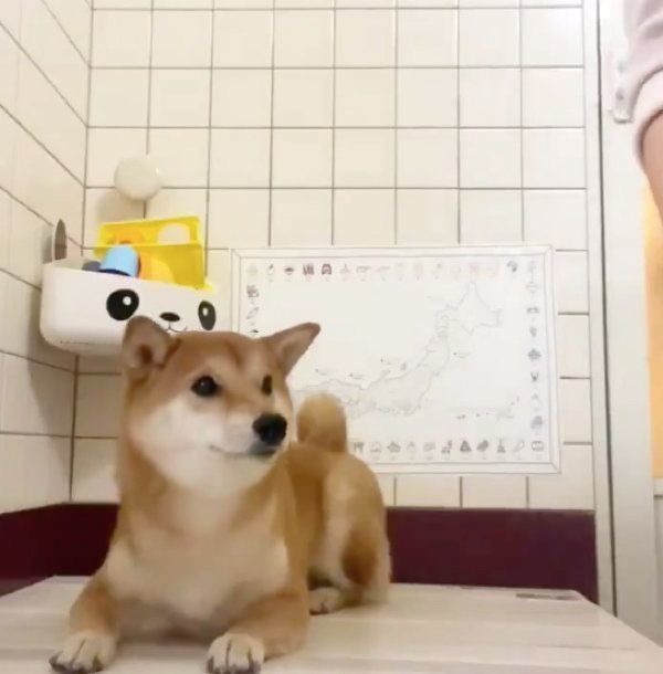 シャワーを待つりんご郎くん