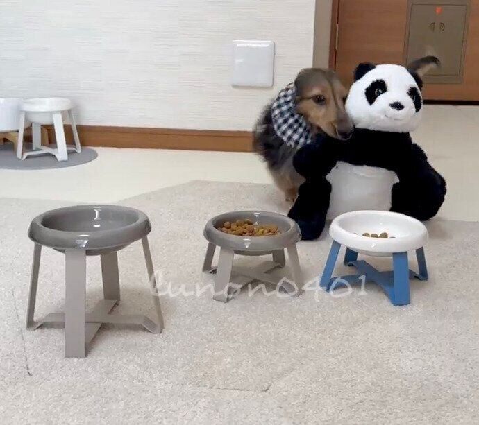 ぬいぐるみの「パンダさん」を運ぶ、るのんくん