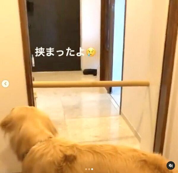 紙管を運ぶマリンjrちゃん