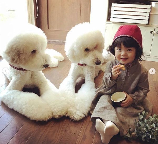 スタンダード・プードルと女の子