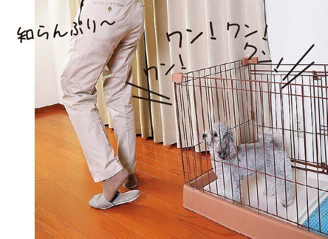 撮影／尾﨑たまき