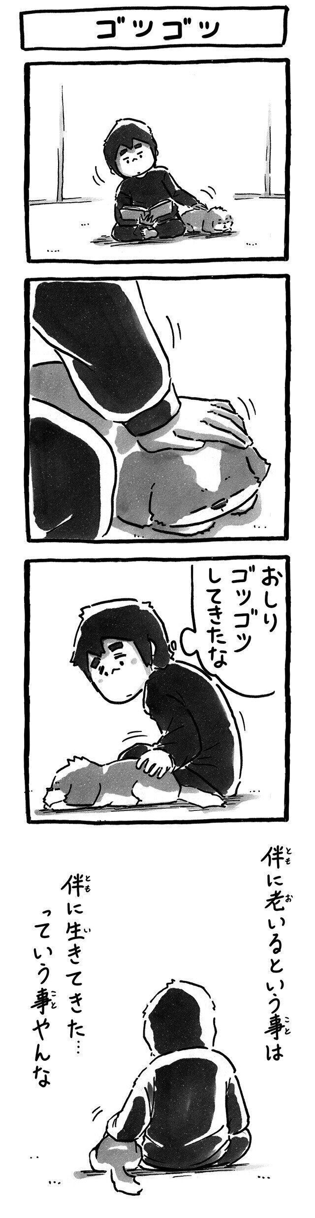 シーズー犬マンガてんぽshihtzu