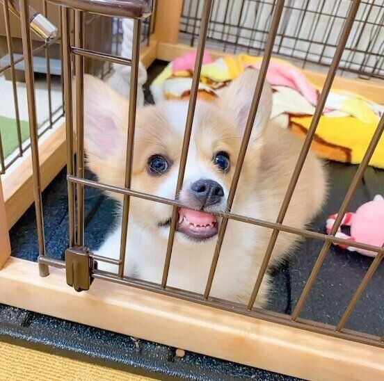 歯茎を見せる優ちゃん