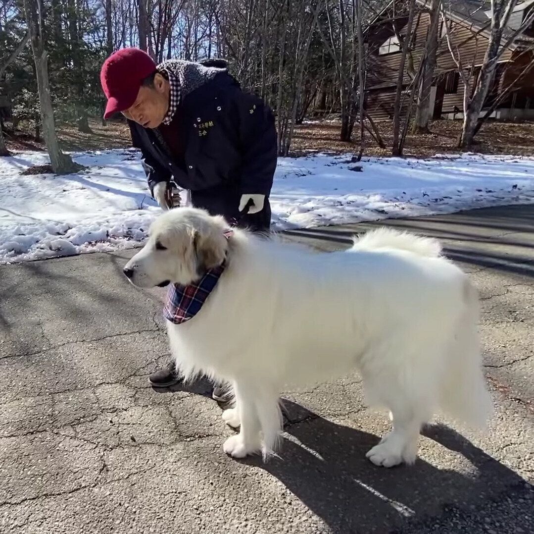 スタンバイ中のアランくん