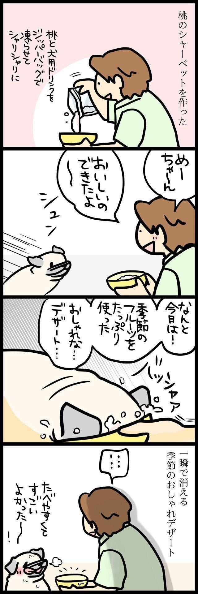 【連載】パグ犬めー