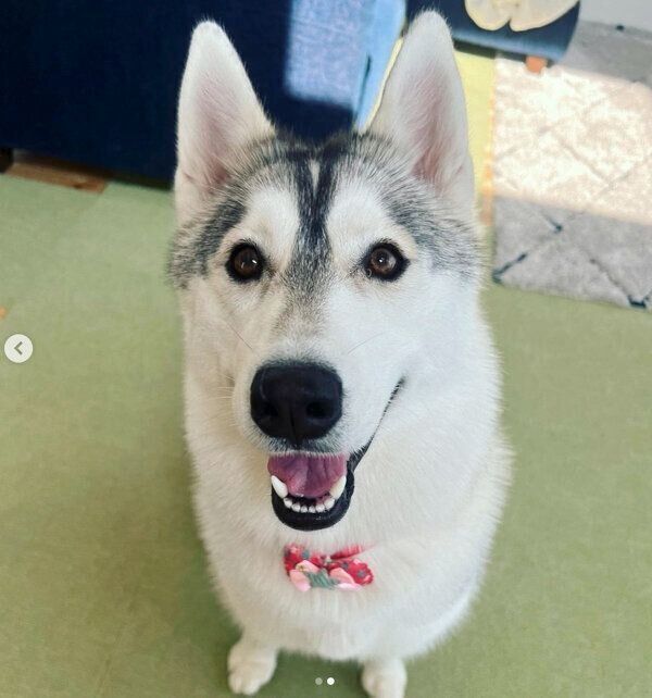 1才になったぽぽちゃん