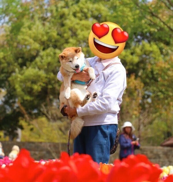 お出かけを楽しむテツくん