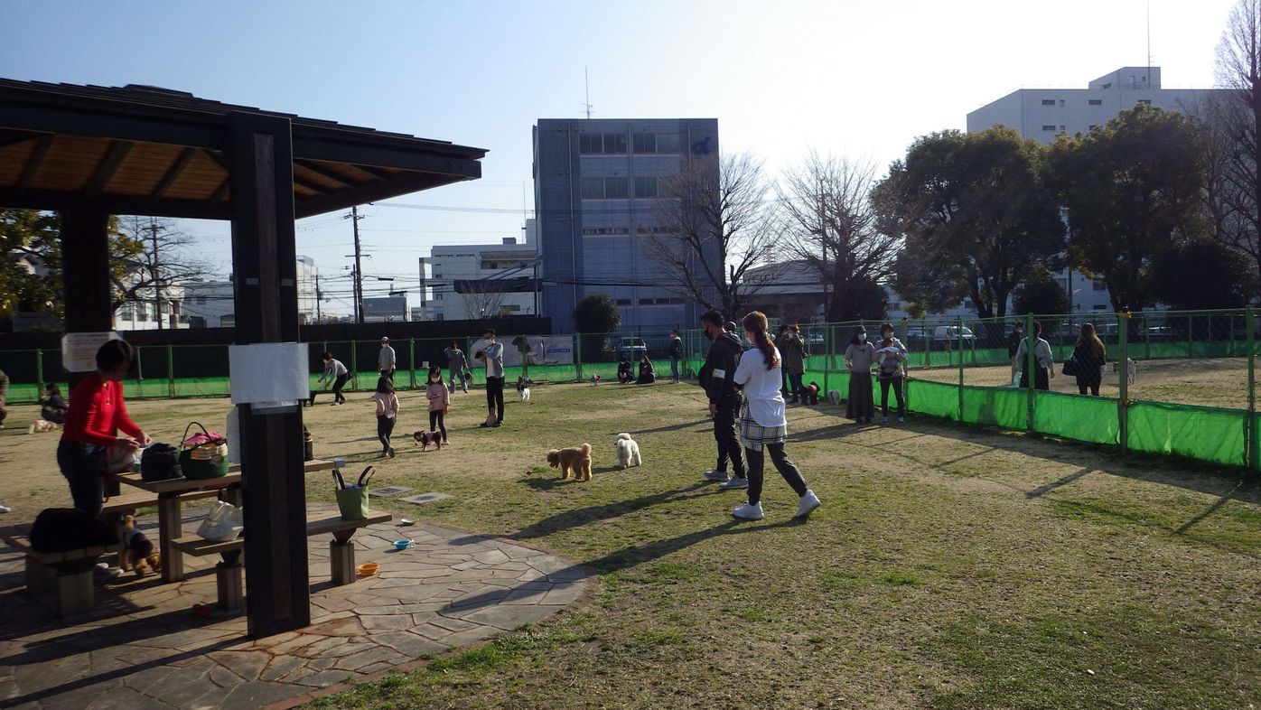 ドッグランや夜間動物救急センターを併設する 開かれた動物愛護センターの取り組みを聞いた いぬのきもちweb Magazine ドッグランや夜間動物救急センターを併設する 開かれた動物愛護センターの取り組みを聞いた いぬのきもちweb Magazine