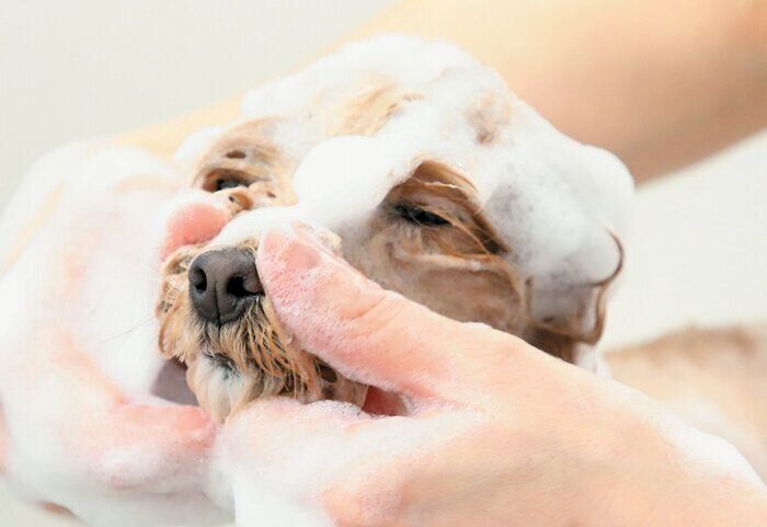 細かい部位も丁寧に